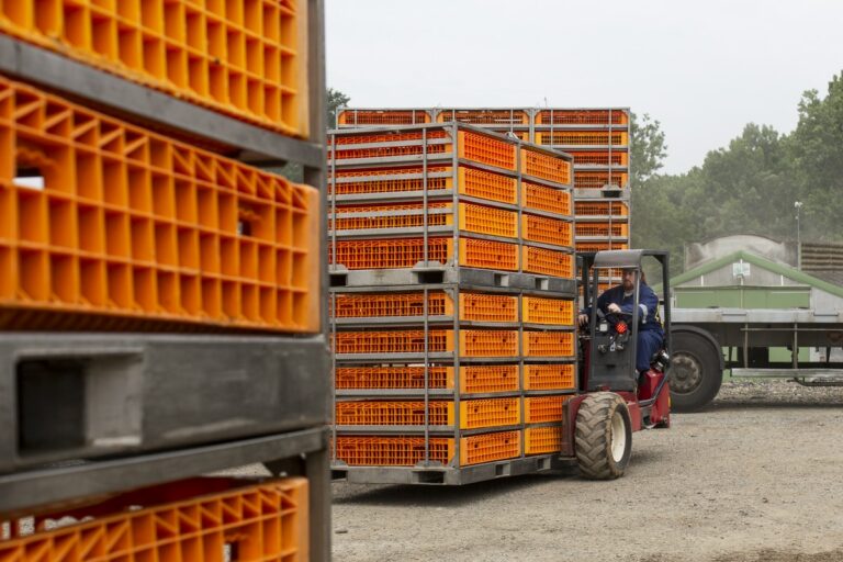 ouvrier conduisant un chariot élévateur avec un chargement de caisse orange